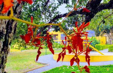 flat em serra negra - bezerros - Foto 29