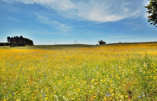 Comfortable Holiday Home, Sauna + hot tub Included - Photo 35