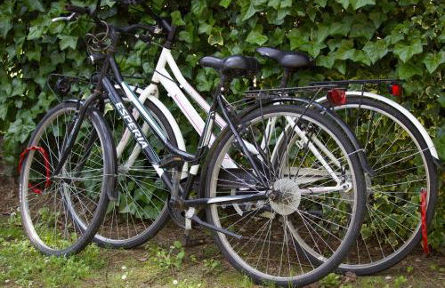 Villa Antonietta 4, Relax nella pineta - Foto 24