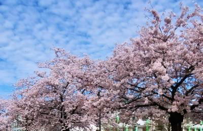 Ferienwohnung Ott - Foto 8