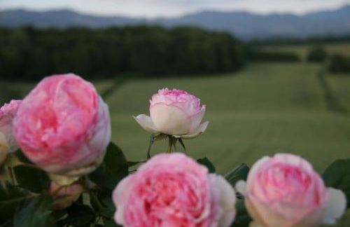 Il Nido di Gabbiano - Foto 19