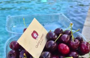 Quinta do Limite - Agroturismo - Foto 3