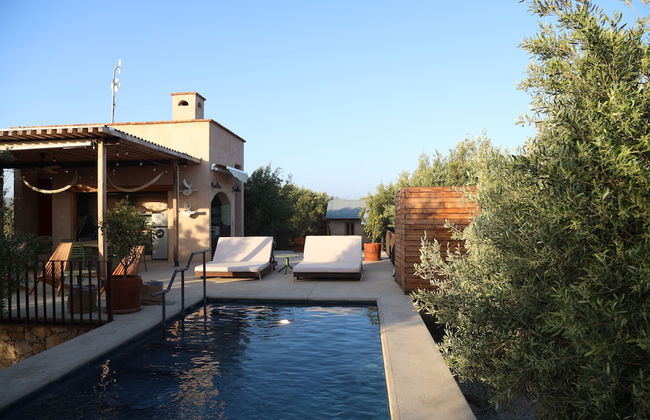 Alma Liebre Viñedos del Valle - Foto 1