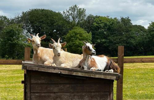 Pheasants Nook - Foto 22