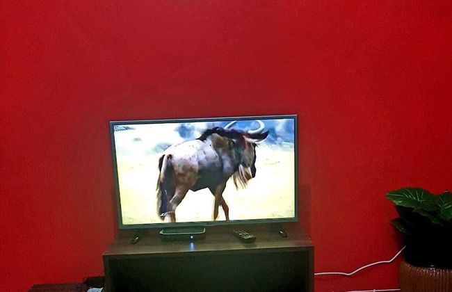 Eliphan Furnished Apartments - Foto 11