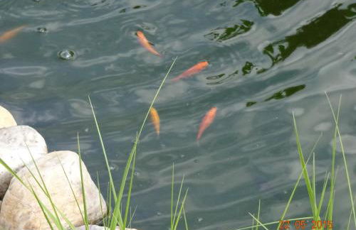 Haus Seeliger im Fichtelgebirge - Foto 16