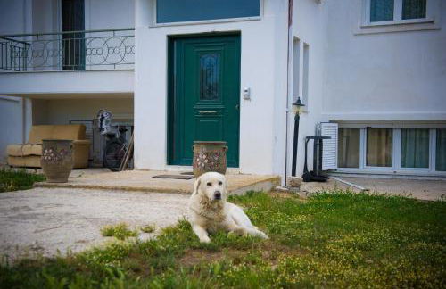 OLIVES Estate APARTMENTS Grande - Foto 33