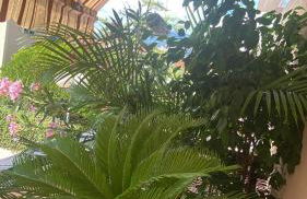 Dolce-Vita appart 3 étoiles, climatisé , 50M de la mer et aux portes de Menton ,parking gratuit - Foto 6