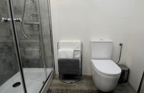 FABRICA DEL LUJO EN EL CENTRO DE MALAGa - Foto 18