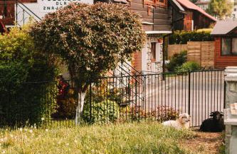 Poddasze dla Znajomych - apartament z gorącą balią nad Jeziorem Czorsztyńskim - okolica Czorsztyn, Szczawnica, Velo Czorsztyn, Krościenko, Zakopane, Gorce, Pieniny, Tatry - Foto 6