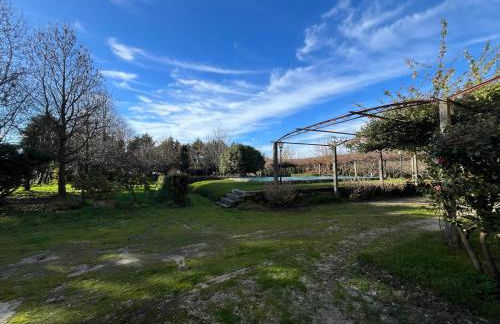 Apartamento dos Lagares - Foto 18