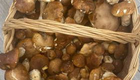 Agriturismo cergallina - Foto 4