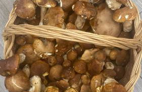 Agriturismo cergallina - Photo 4