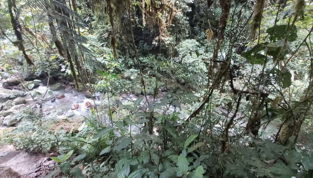 The Grand Canyon of Cotundo Day Trip - Foto 4