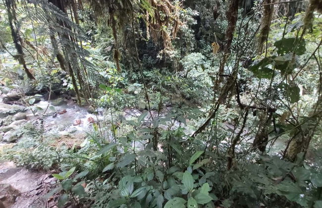 The Grand Canyon of Cotundo Day Trip - Photo 4