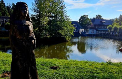 Urlaubsdomizil Am Töpfer - Ferienwohnungen in Olbersdorf - Foto 71