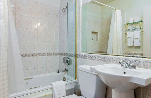 San Miguel - Foto 12