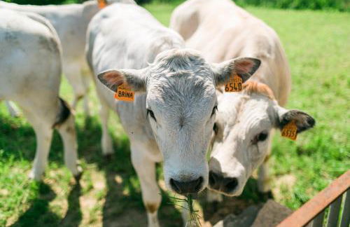 Fondo Brugarolo B&B - Foto 34