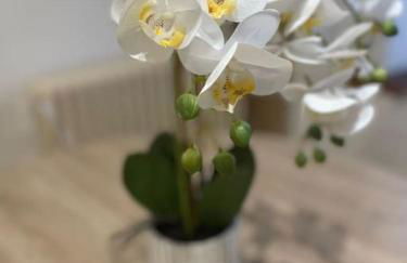 Appartement cosy en centre ville - Foto 12