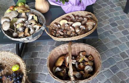 Maso Tobel Riva del Garda - Photo 98