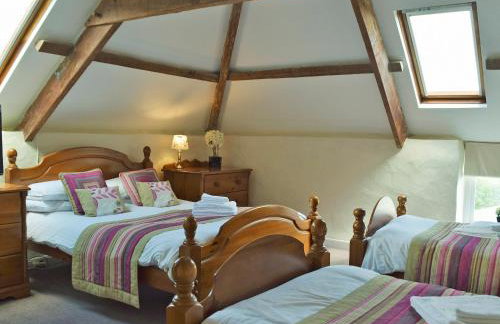 Braveheart's - Uk6740 - Foto 6