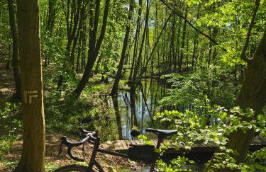 Smugi Dom Gościnny - Foto 38