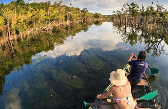 Tour por el Bosque Nacional de Tapajós - Foto 7