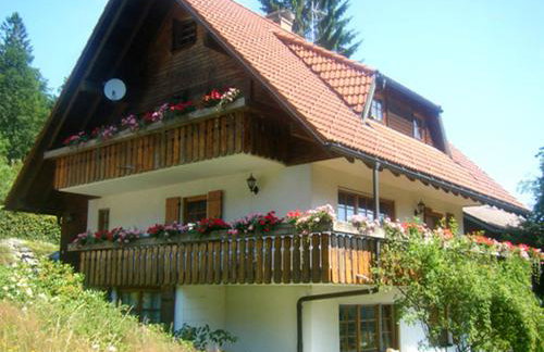 Waldhuesli Feldberg Gartengeschoss - Photo 14