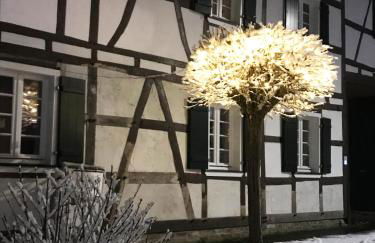 Wohnung Alter Heuboden im Fachwerk bei Bonn Alfter - Foto 22