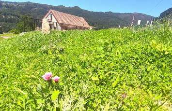 Casa A mi Vera - Foto 34