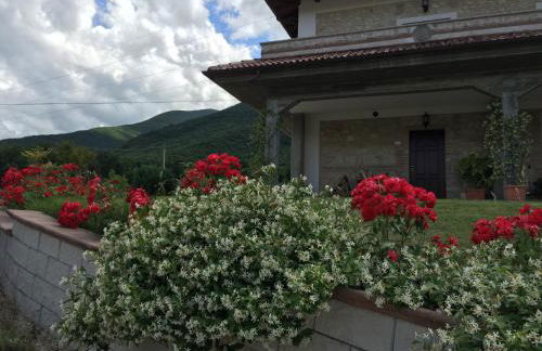 Il Poggio Dei Pettirossi - Foto 60