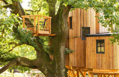 Heide Ferien - Hof Bockelmann - Foto 18