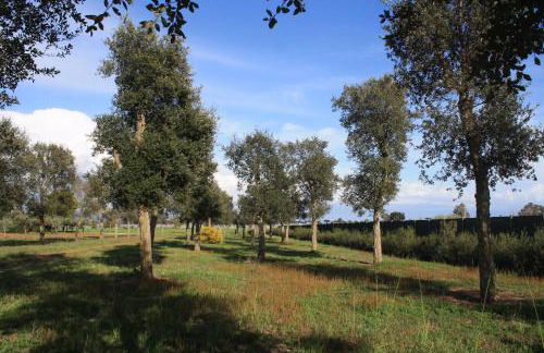 Appartamenti La Cicadea - Foto 22