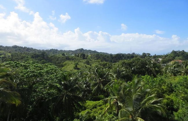 Executive Suite - Apartment 7 in Villa Coconut - Foto 40