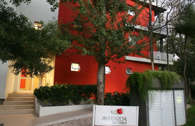 Avutarda de Carilo - Photo 69