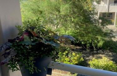 Studio Premium Haguenau cosy, tout équipé, calme, balcon - Photo 25