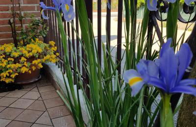 Ca' ARiANna - Photo 6