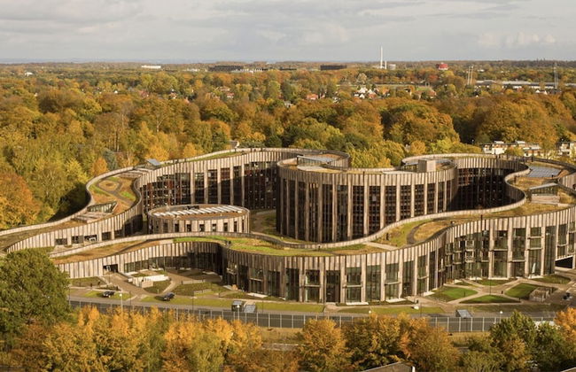 The Forest apartments by Daniel&Jacob’s - Photo 1