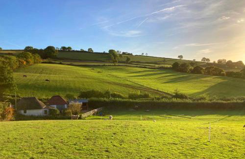 The Nest - Thatched seaside country cottage for two - Foto 27