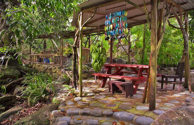 Citrus Creek Plantation - Photo 58