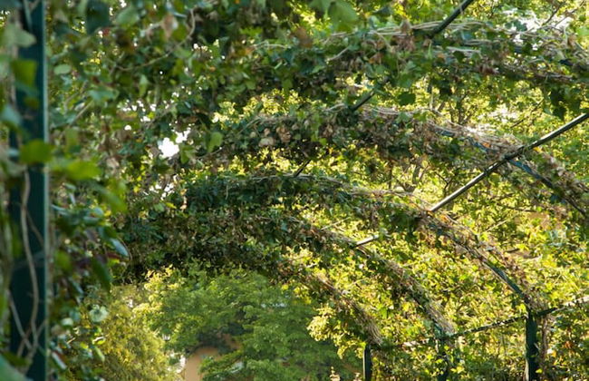 La Tenuta La Meirana - Photo 28