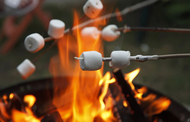 Family Camp - Photo 17