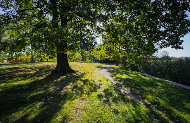 Bad Sonnenland - Foto 44