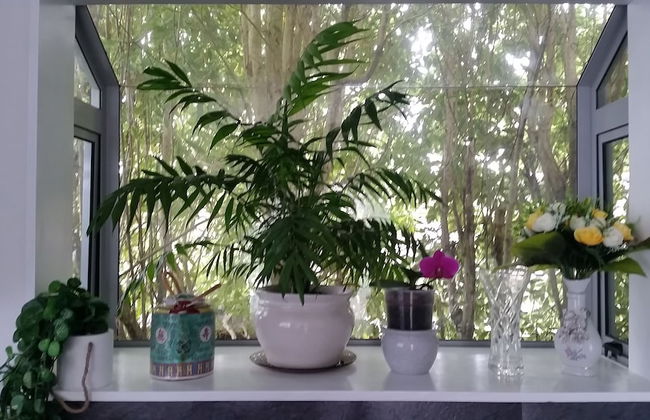 Alice House - Photo 23