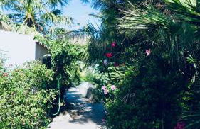 Cortijo Paraiso - Foto 24