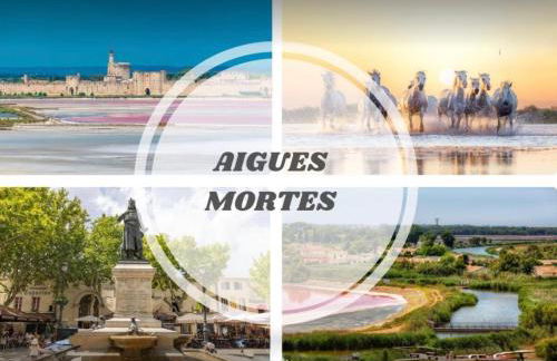 Maison 10 couchages, 5km des plages, 12km de Montpellier - Foto 52