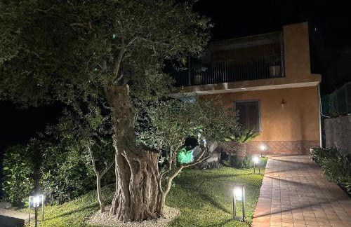 La Dimora degli ulivi - Foto 56