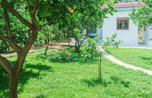 Lemongarden by the sea - Foto 15