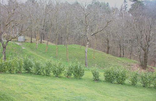 Casa le siepi - Photo 20