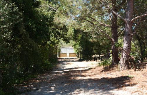 JB - Monte João Moleiro With Shared Pull - Photo 61